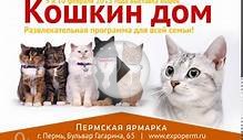 Международная выставка кошек 2013